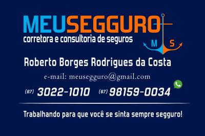 Roberto Borges Rodrigues da Costa - MEUSEGGURO